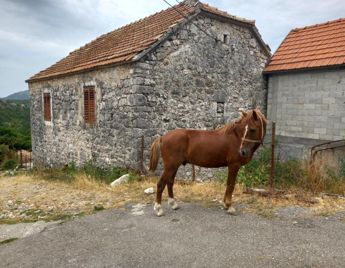 Konak Ugnji-Village Цетинє Екстер'єр фото