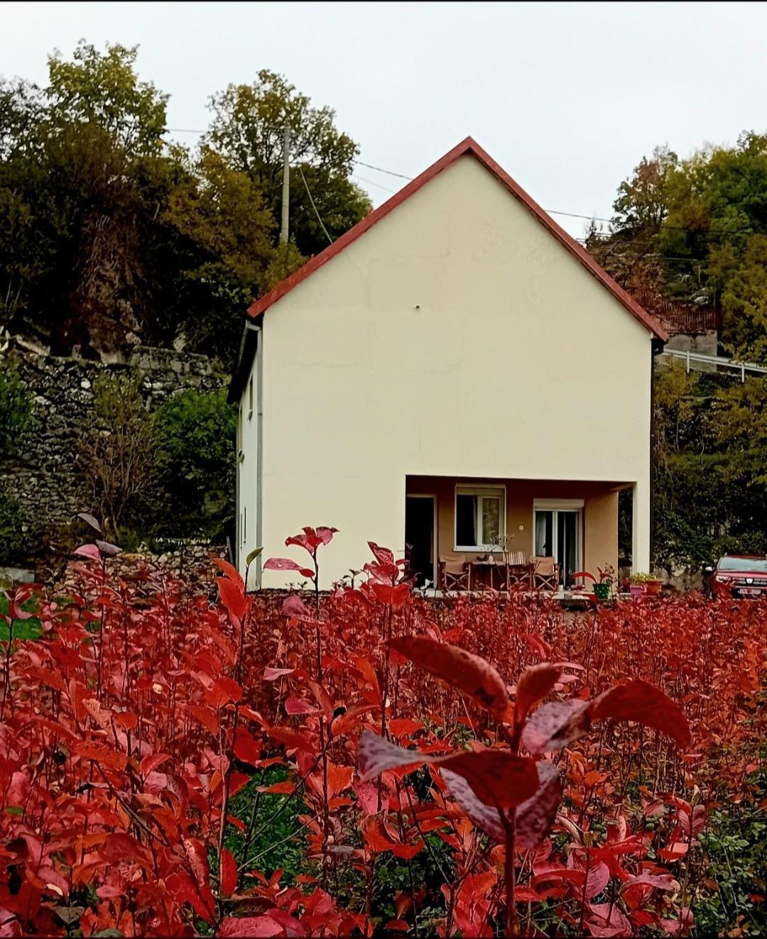 Konak Ugnji-Village Цетинє Екстер'єр фото